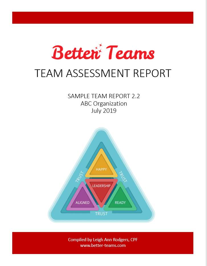 Sample Team Report Cover